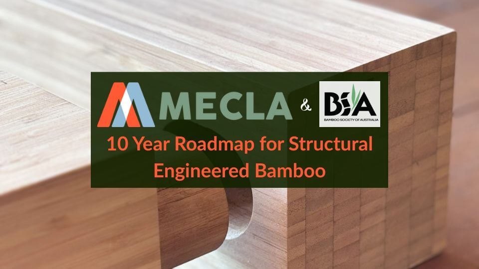 MECLA Briefing on Bamboo (4)