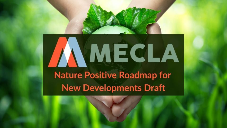 Nature Positive Roadmap Draft (1)